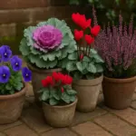 Cosa piantare nel patio per avere sempre colore anche in inverno? Idee resistenti ai climi freddi
