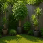 Come si valorizzano gli angoli del giardino con piante alte? Il trucco degli esperti per slanciare lo spazio