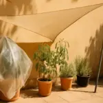 Patio e cortile sotto il sole: come proteggere le piante dal caldo con meno acqua