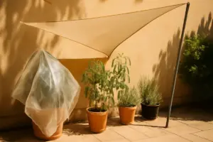 Patio e cortile sotto il sole: come proteggere le piante dal caldo con meno acqua