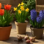 Bulbi perenni per patio: quelli che rifioriscono soli senza reinterrarli