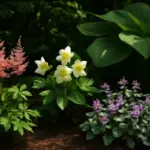 Piante perenni da giardino in ombra: quali reggono e fioriscono ugualmente